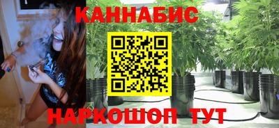 дживик Славгород