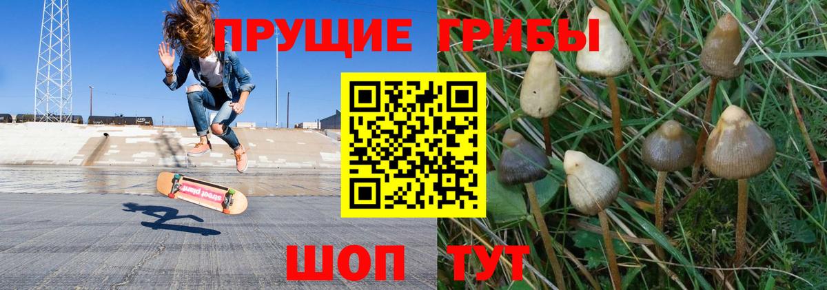 Первоуральск  Псилоцибиновые грибы Psilocybe  Вход с VPN 