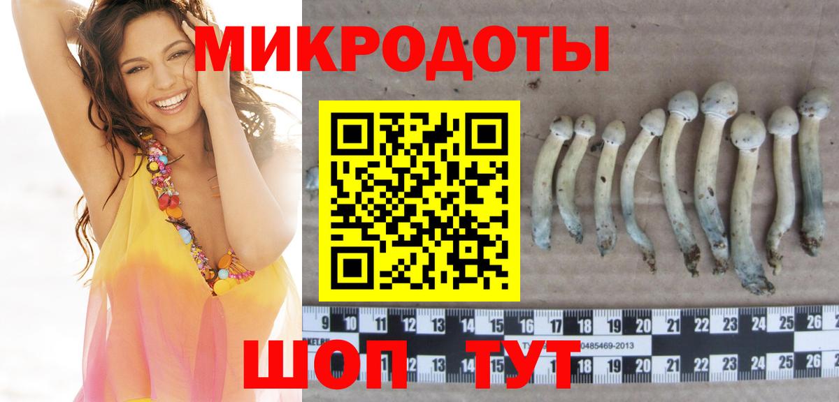 Псилоцибиновые грибы Psilocybine cubensis Первоуральск